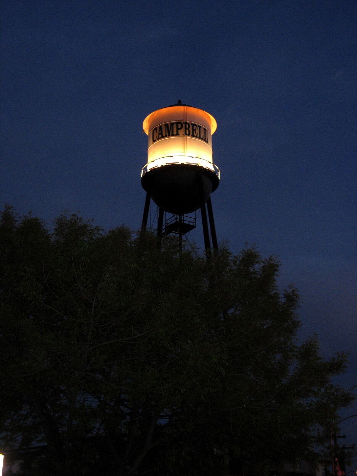 The Campbell water tower lit up at dusk above the trees