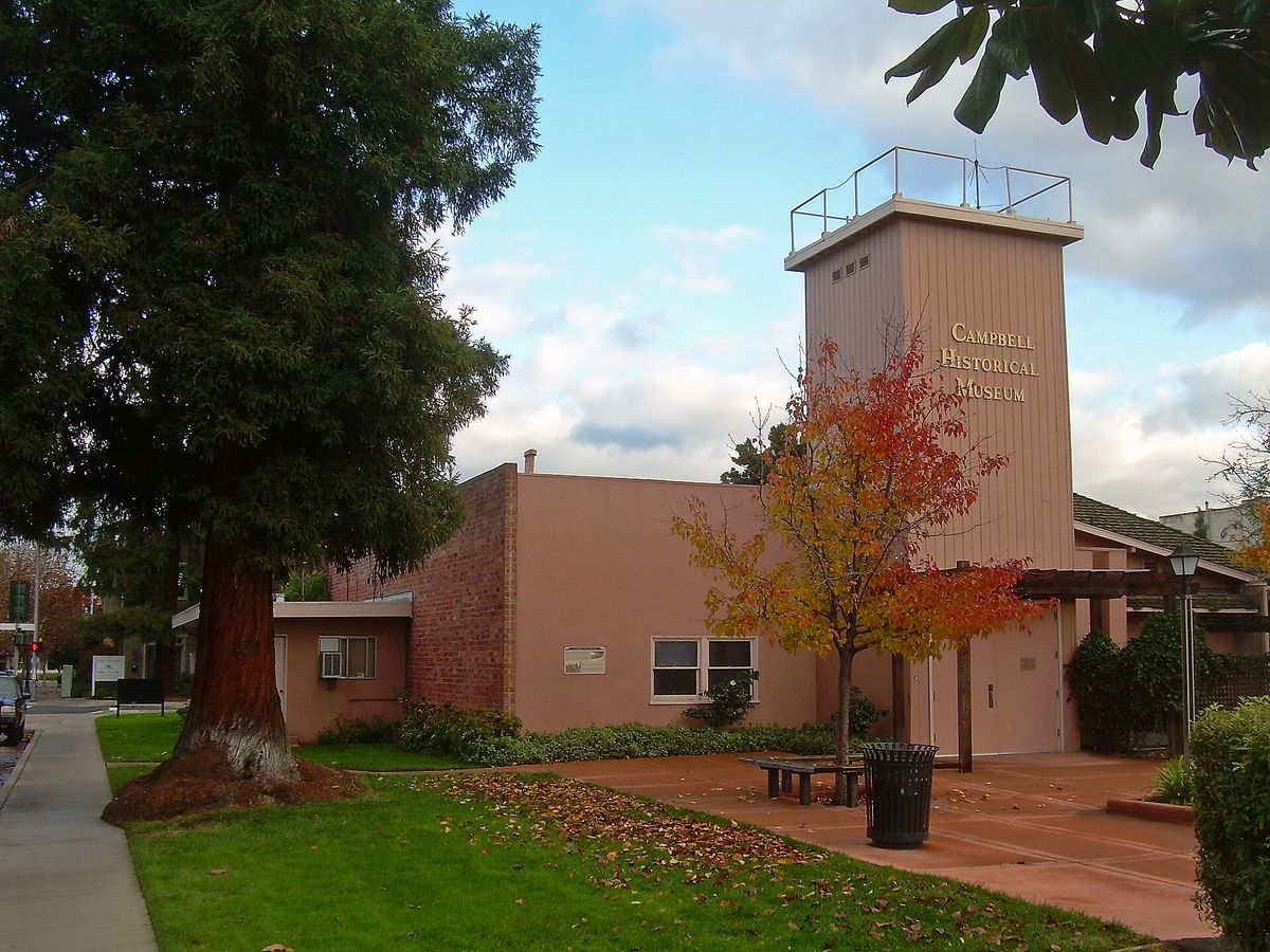 The old firehouse and its hose-drying tower beside a redwood