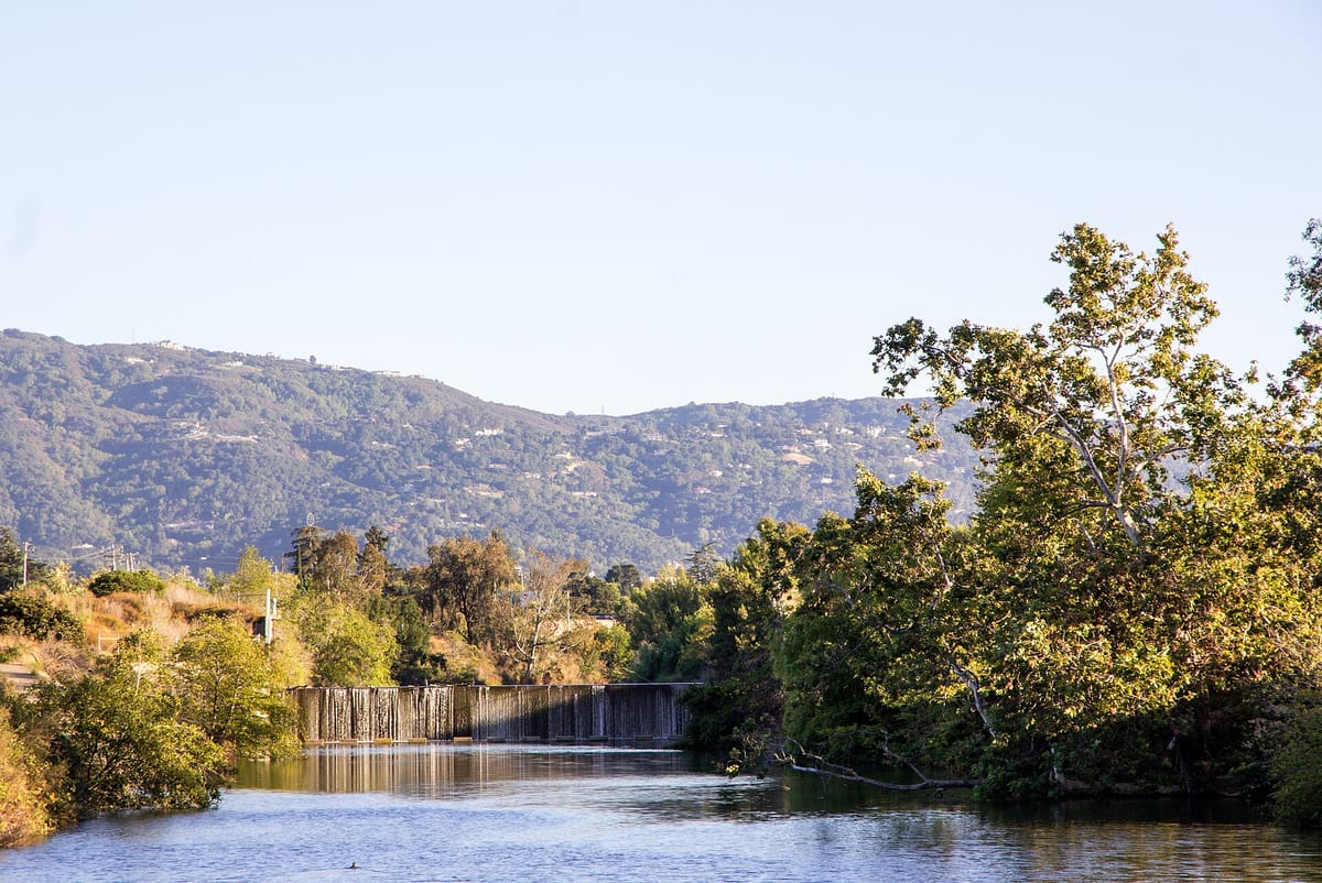 Los Gatos Creek running between willows and oaks below the hills