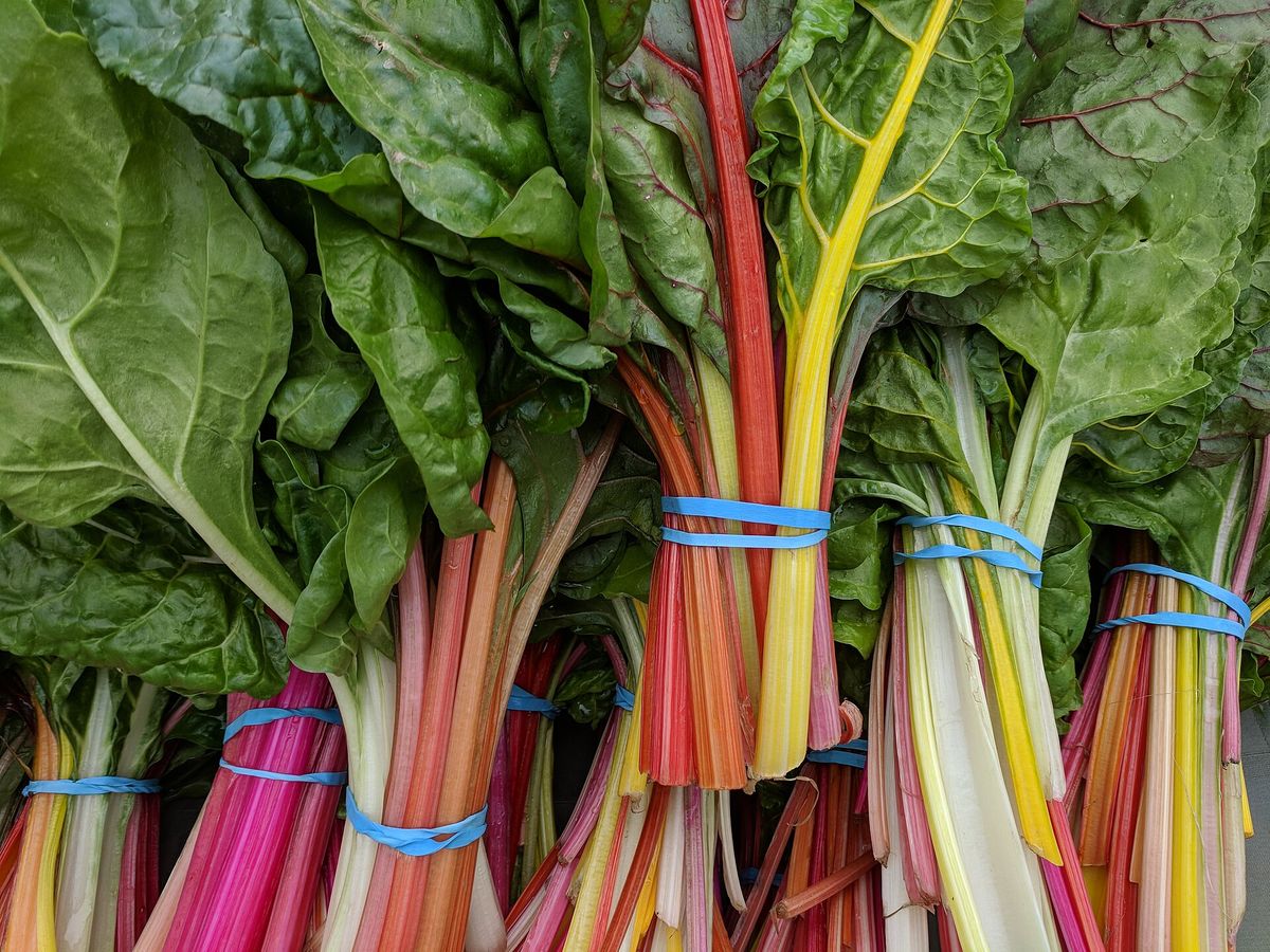 Bunches of rainbow chard at the Campbell farmers' market