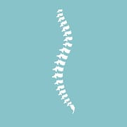New Element Chiropractic