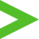 VIVUS LLC