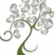 Touch To Heal Spa